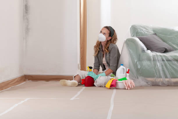 Trusted Mold Inspection service in Boston, VA - Cheap Mold Removal